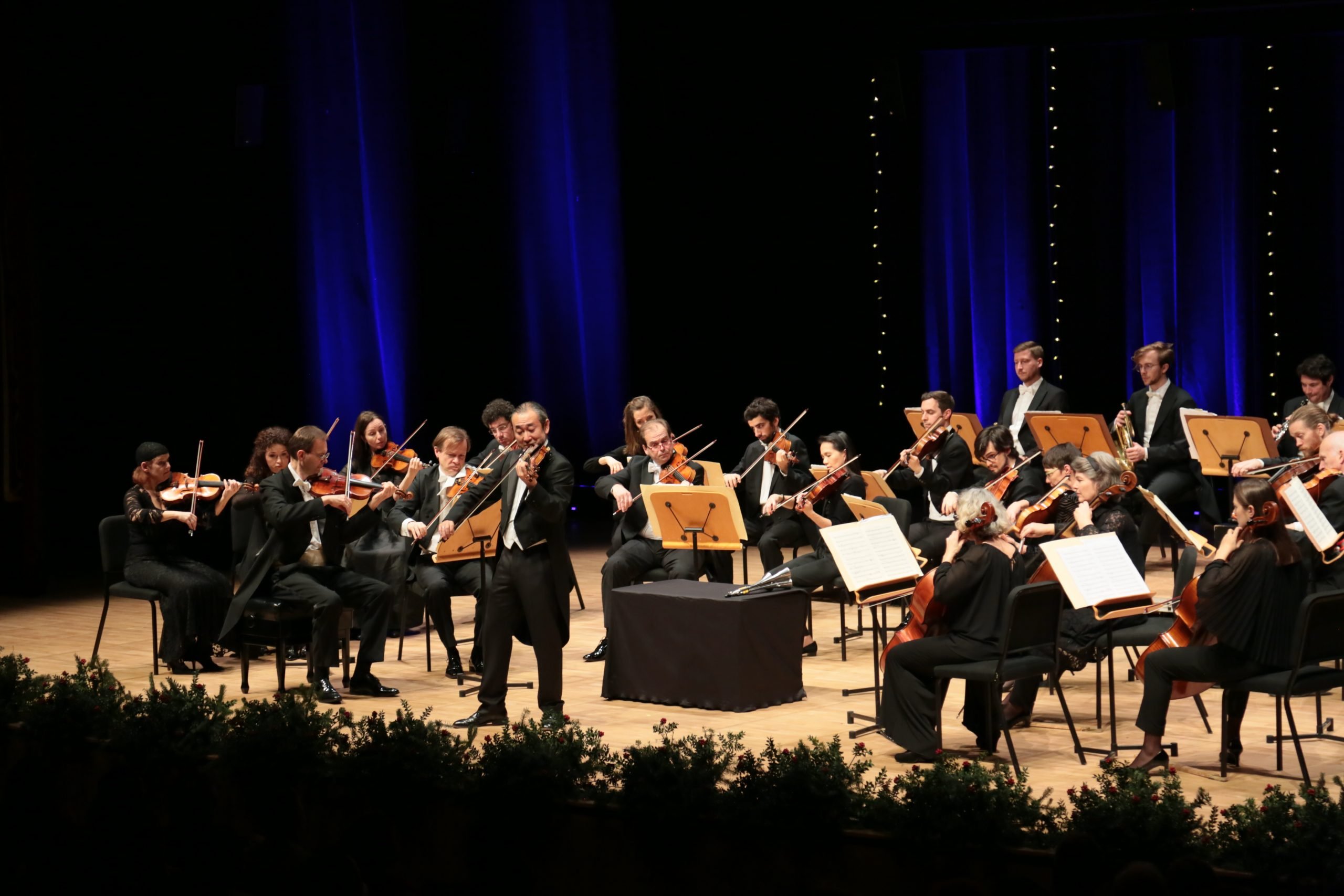 Viyana Oda Orkestrası